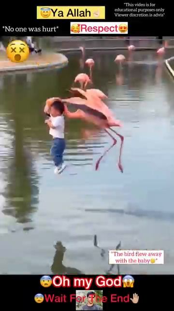 люди и природа