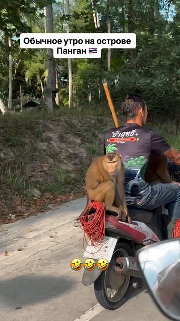 video_2026-03-03_10-05-54