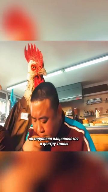 Интересные истории