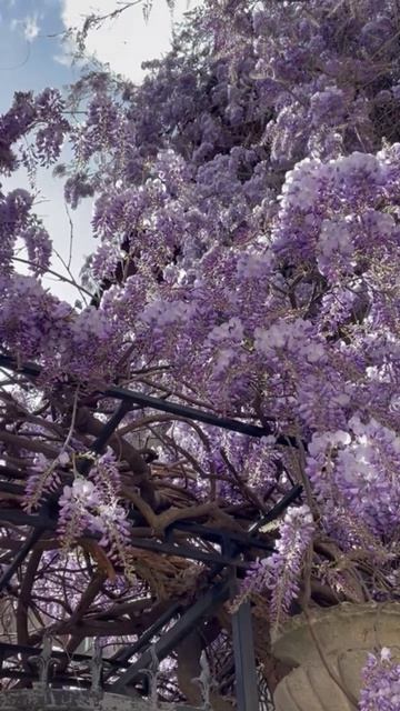 Ялта 💖💖💖