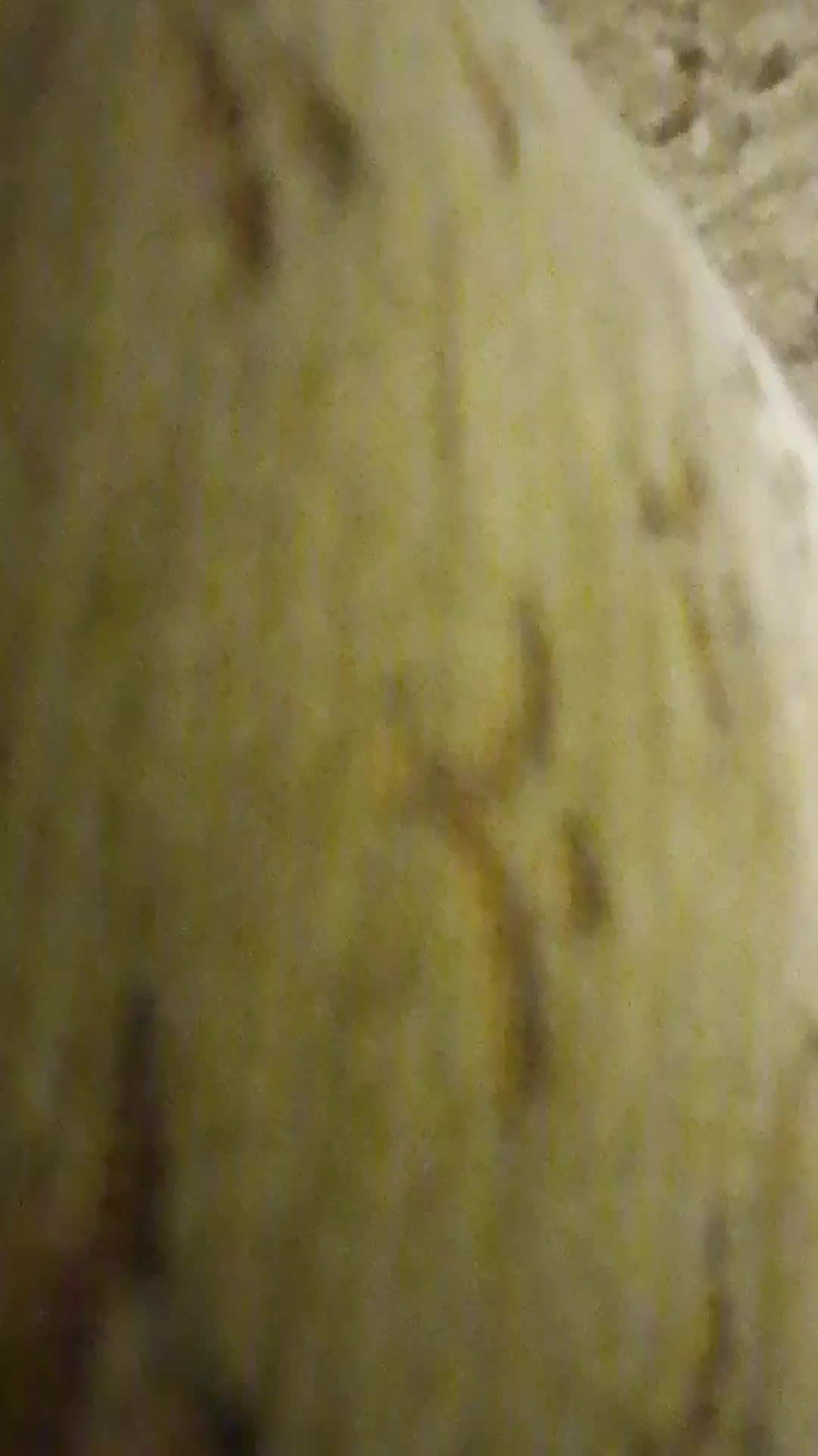 прохожу рандомный лвл в гд