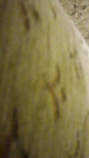 прохожу рандомный лвл в гд