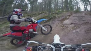 ТВ ШИШКИ. Немного с Пачки.