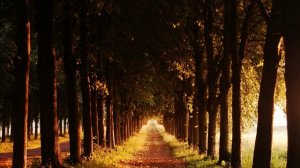 Ricky King-Greatest Hits