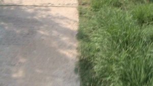 132)з ДЕНДАРИ ПАРК СОЧИ