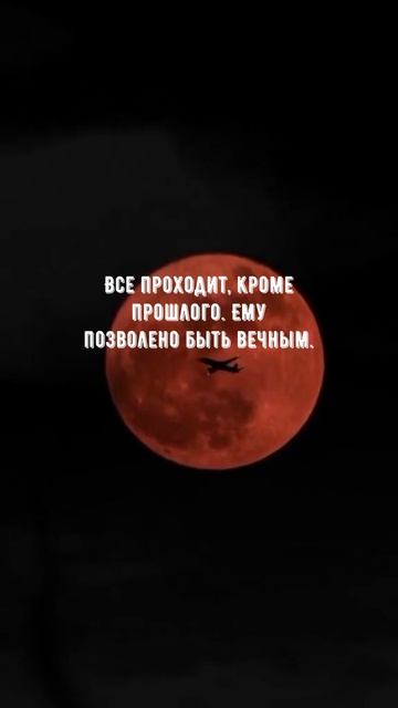 1056 Цитата дня. Мотивация.