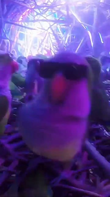 MOV_20260422_220604_529.mp4