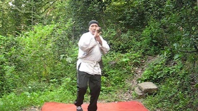 2.разворот  с вертушкой корпуса. Trim