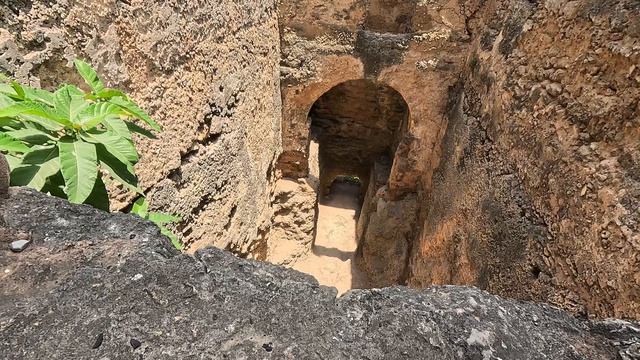 А вы слышали про Форт Иисус?