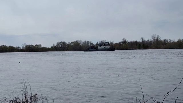 Утро на реке ( 23 апреля)