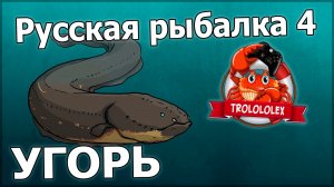 Русская рыбалка 4.Угорь на старом остроге