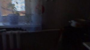 Как мы живём в деревне? Жрём , гуляем и спим