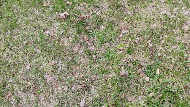 апрель в деревне