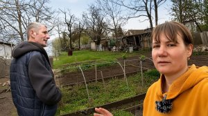 Перевернули пол-огорода