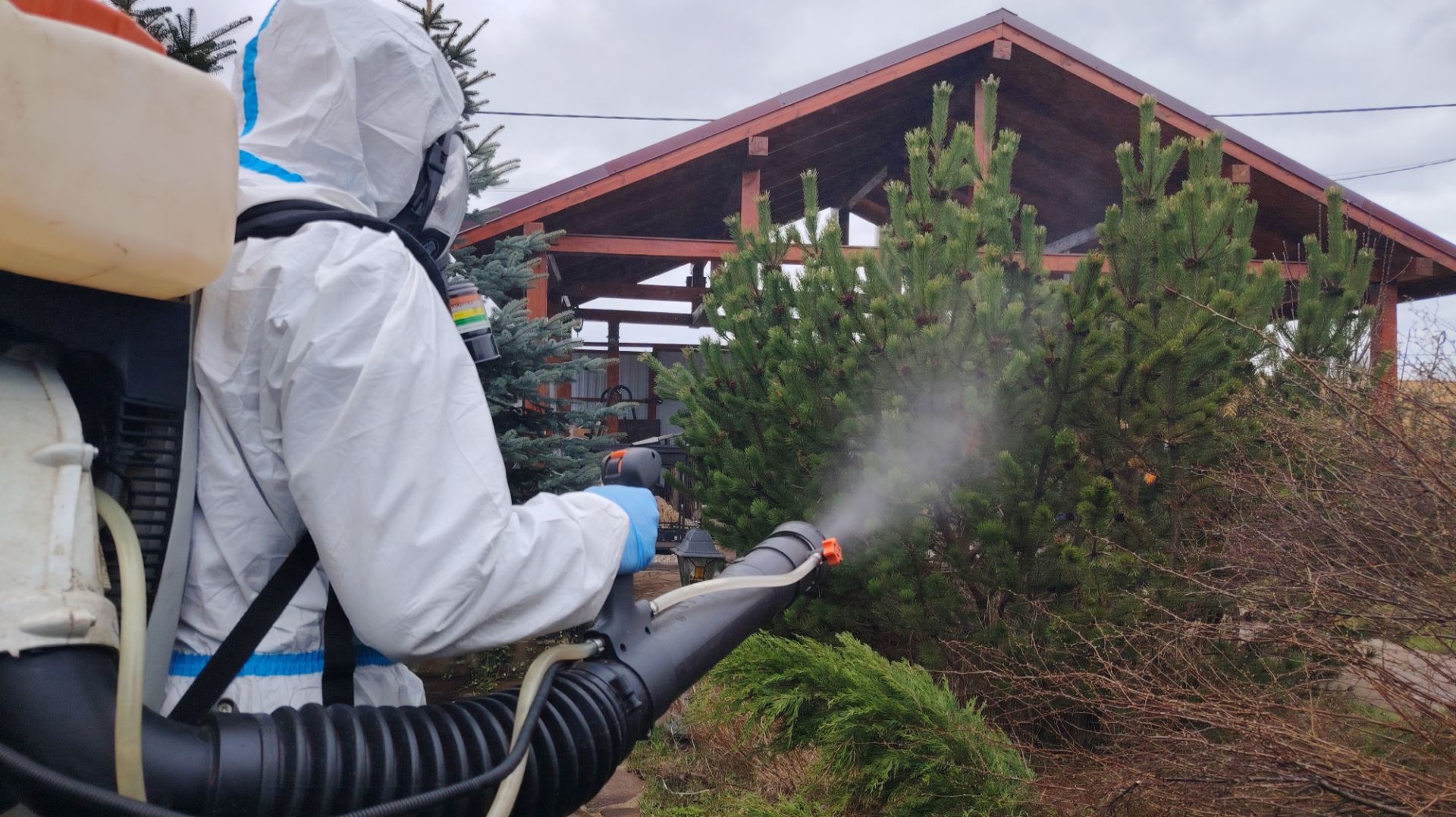 Заказать Обработку участка от клещей и комаров в Раменском районе. Служба Биотрикс в Раменском