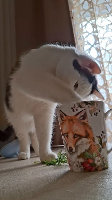 Вода в кружке