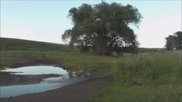 Деревеньские зарисовки 2016 Старое Серёжкино