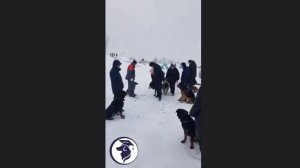 ДРЕССИРОВКА-ПРОГУЛКА ПО ГОРОДУ