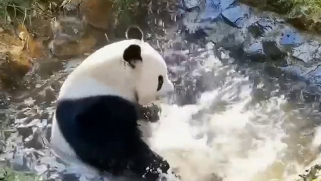 Я время тратить не хочу на споры с теми....