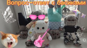 Вопрос-ответ с БАСИКАМИ🩷