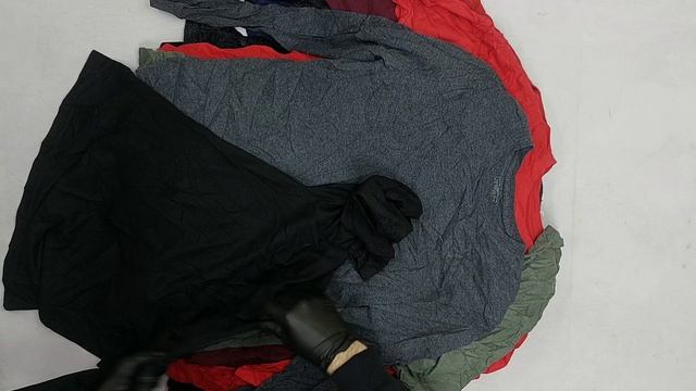 Sport tops (тонковки) дл. рукав