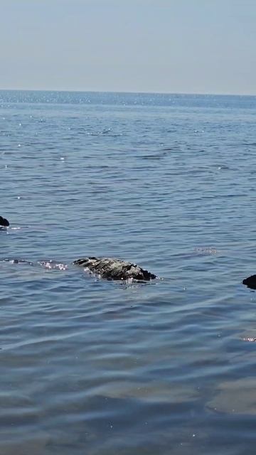 Большой Утриш. Анапа