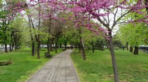 ВОТ ЭТО Съездили на курорт))) Это надо сделать!