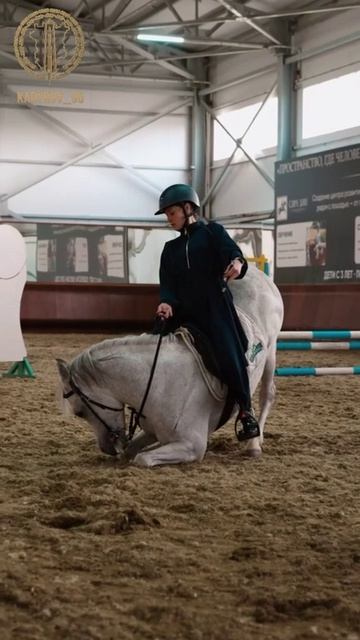 🐎В Чечне открылась школа верховой езды «Сира Дин»