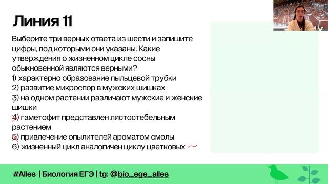 Высшие растения | Метаморфоз | Alles