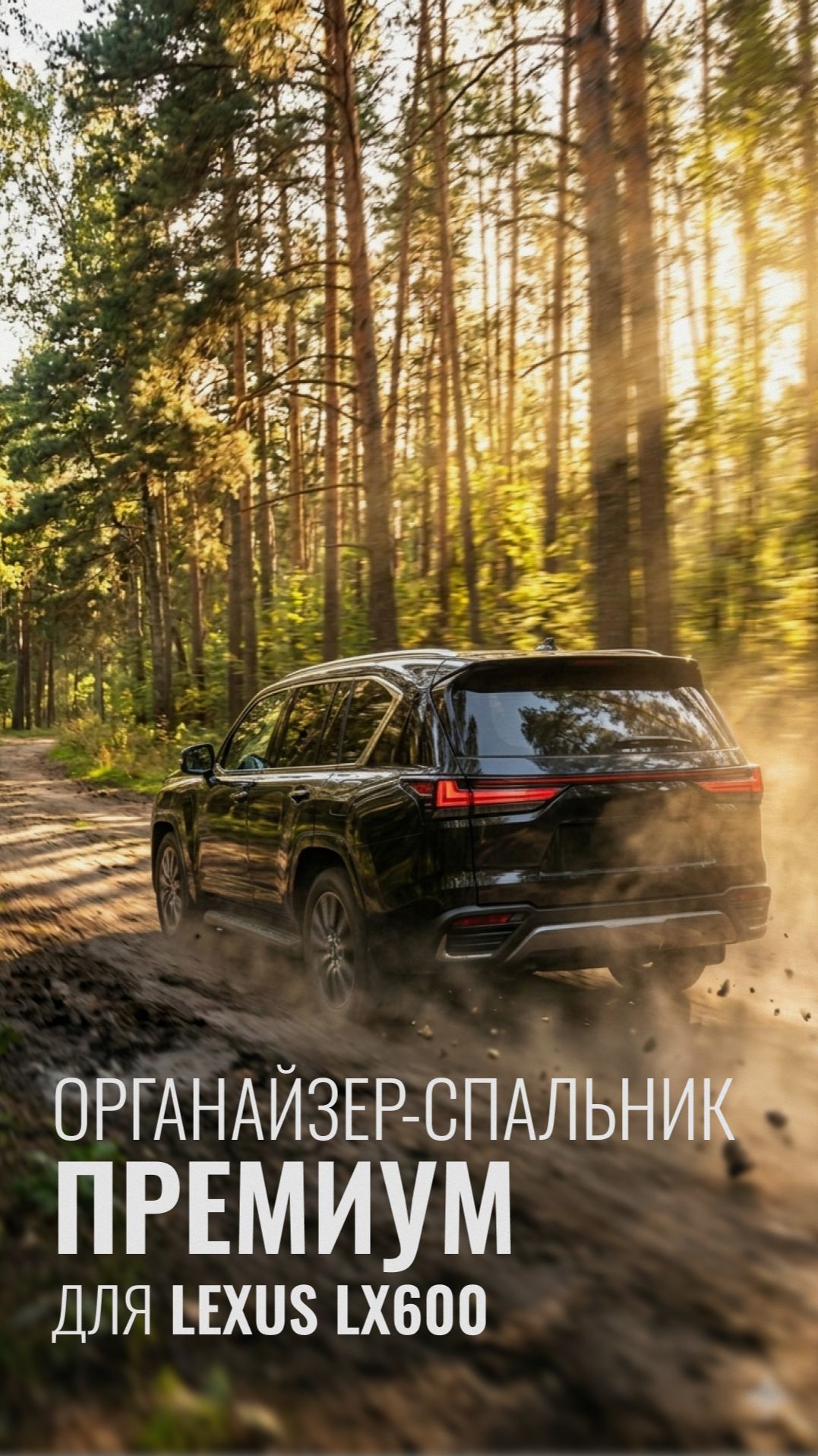 Как сделать роскошную машину ещё роскошнее? Купить органайзер-спальник 