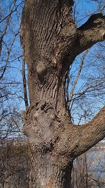 Путь свободный для полёта