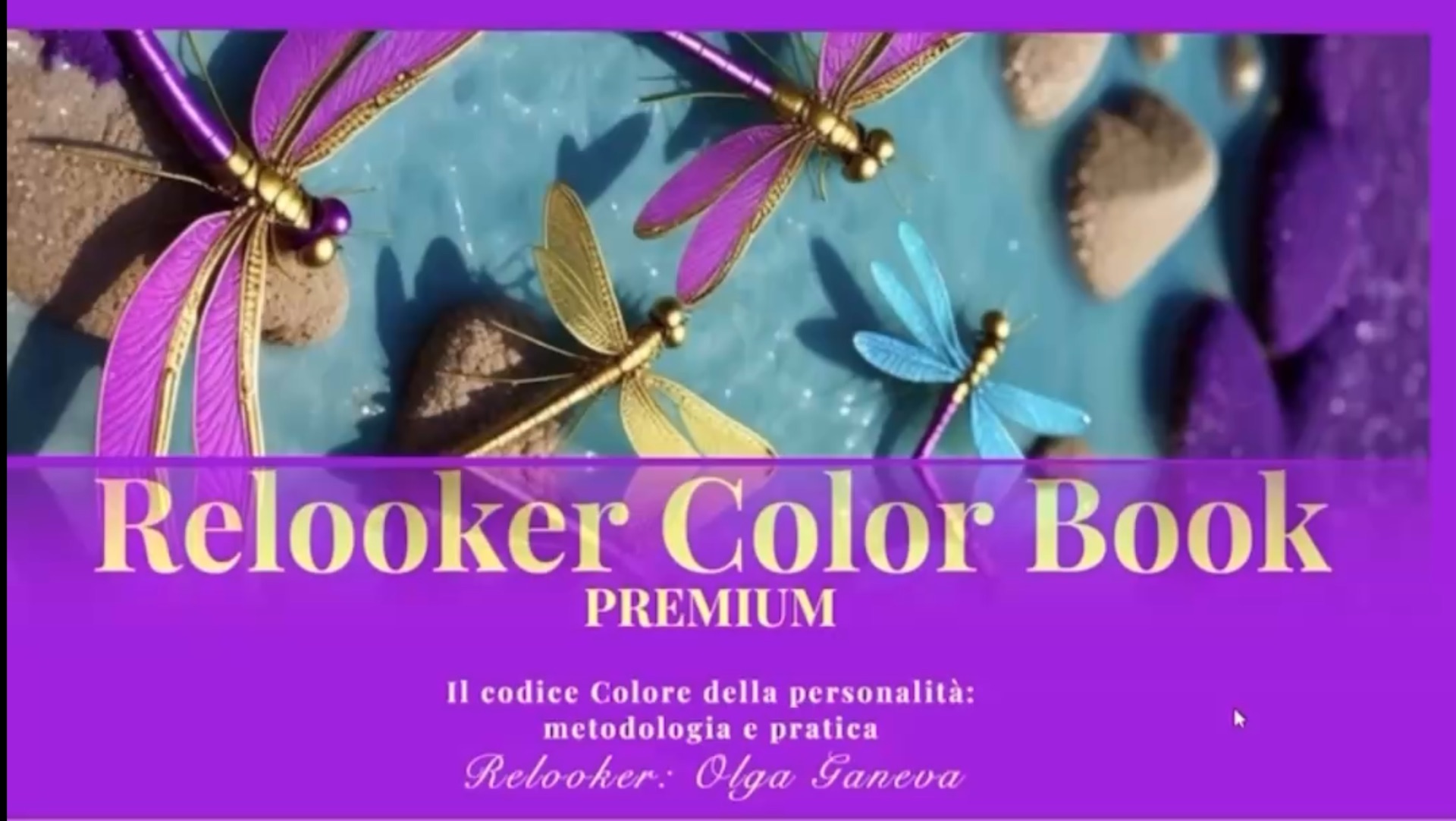 Меланиновый паспорт «Relooker Color Book»