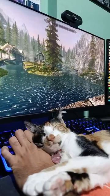 И снятся ему теплые пески Эльсвейра...