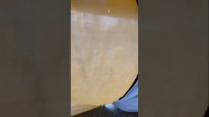 Бродячий люкс блевотины