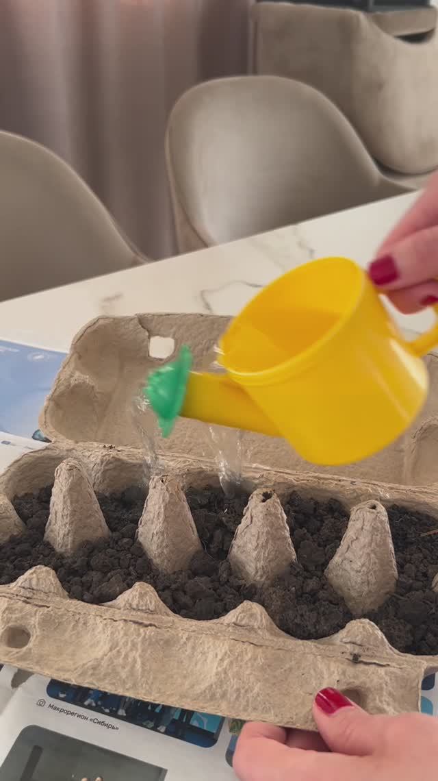 Как выглядит старость 🤦♀️ сажаю рассаду