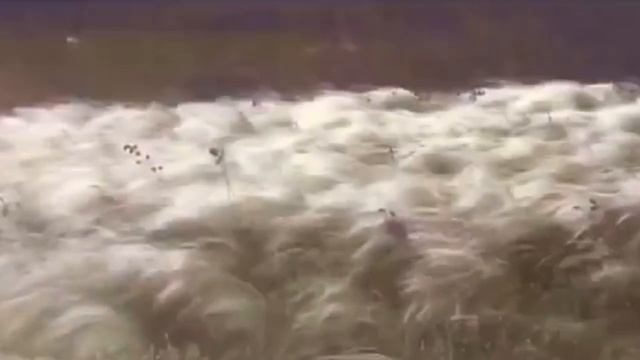 Айгөл һәм Урал Рашитовтар - Башҡортостан - тыуған ерем