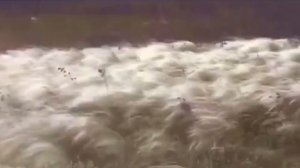 Айгөл һәм Урал Рашитовтар - Башҡортостан - тыуған ерем