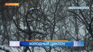 Новости Камчатки за 23 апреля 2026 года