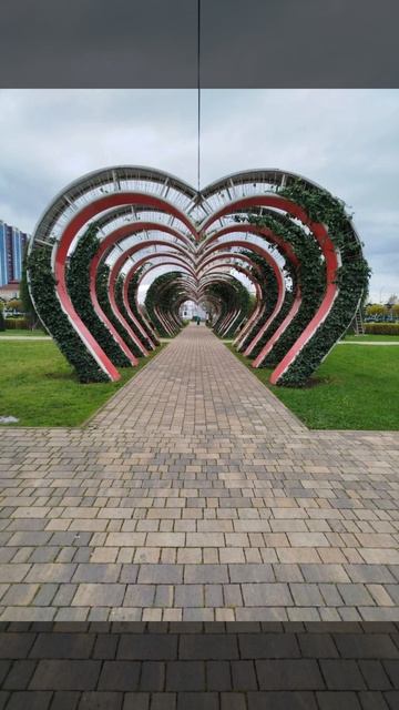 Добрый день!