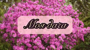 ДАЧА НА КРАЮ ЗЕМЛИ: Как живет и хозяйничает бабушка на Дальнем Востоке