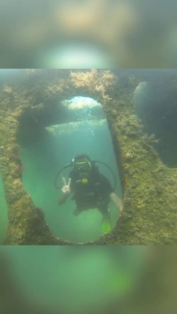 Вот где только спокойно 🌎
#подводныймир #дайвинг #жизньпрекрасна