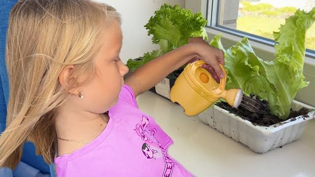 СОФУНЬЯ ШАЛУНЬЯ - СОФИЯ СДЕЛАЛА ОГОРОД ДОМА.