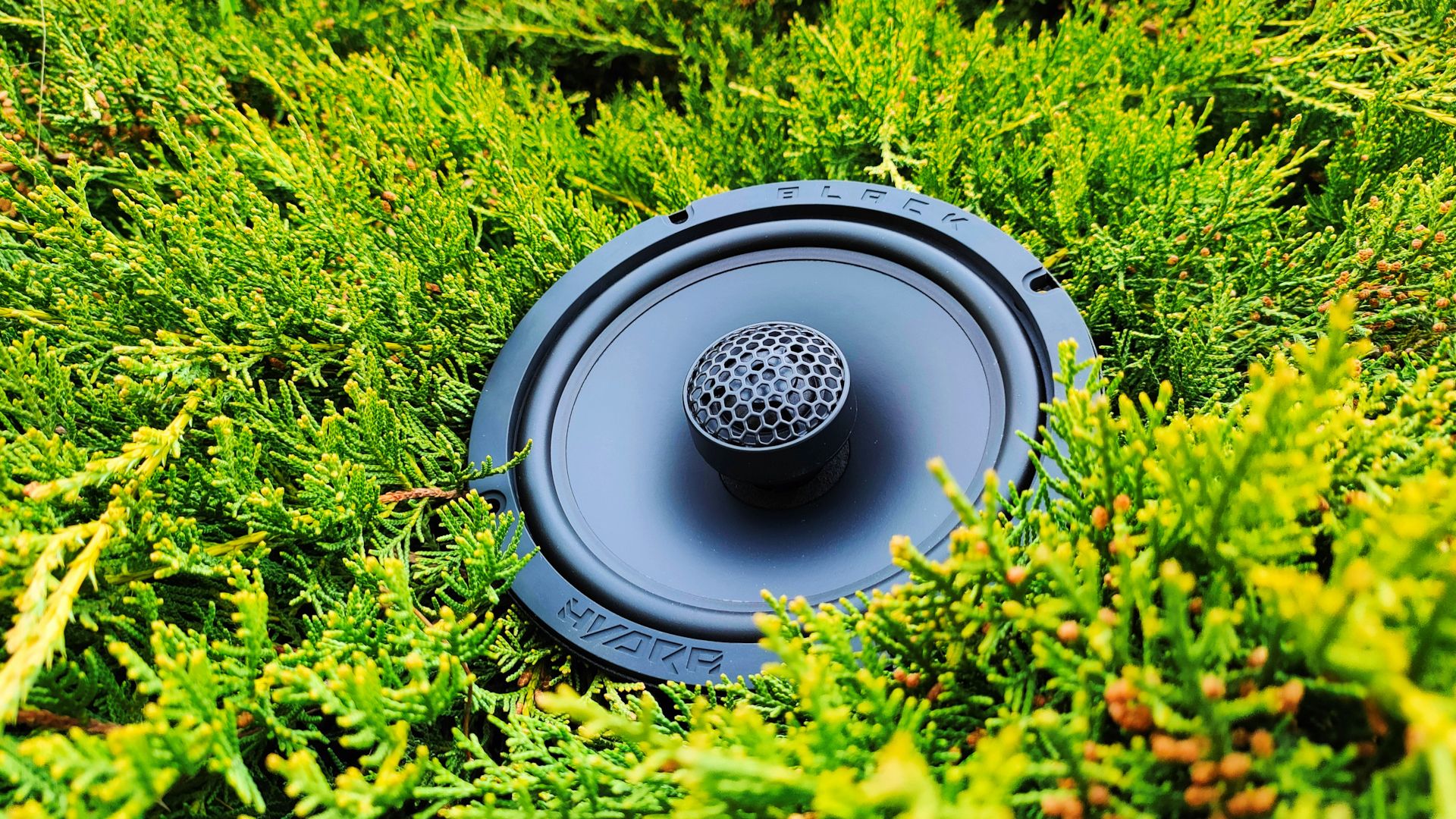 Прослушка Black Hydra Gamma-625X