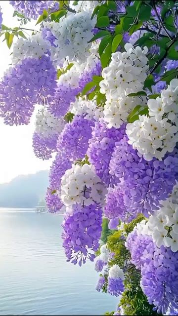 ПРИРОДА ВО ВСЕЙ КРАСЕ.