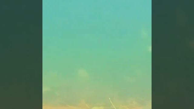 Березовый Берег