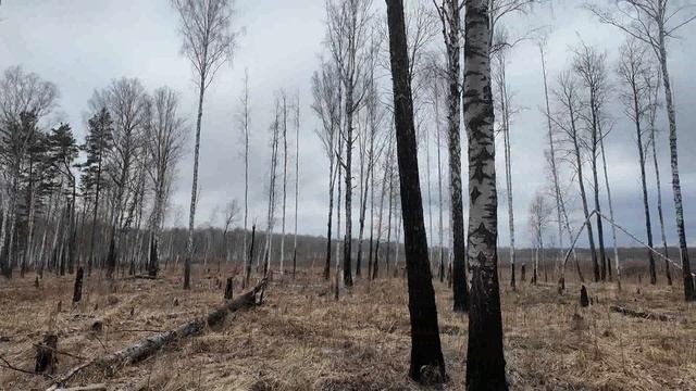 ТРОФИ РЕЙД ТЮМЕНСКАЯ ОБЛАСТЬ