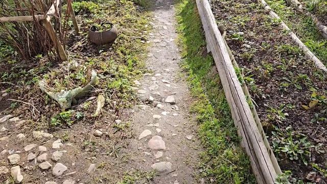 Олений рог фазан на заборе и утренний лось