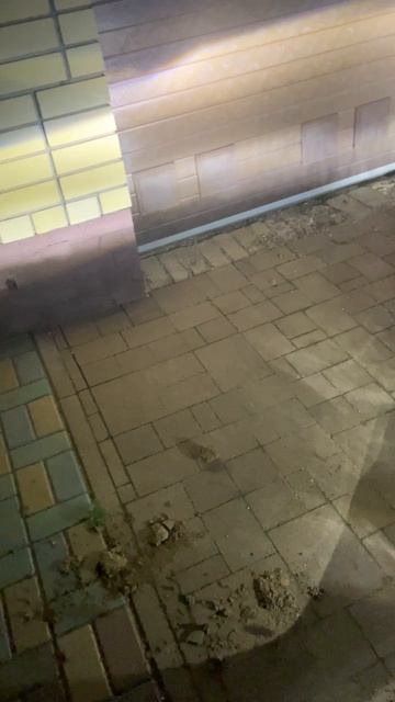 Китайские противотуманные фары на lexus nx200 z10