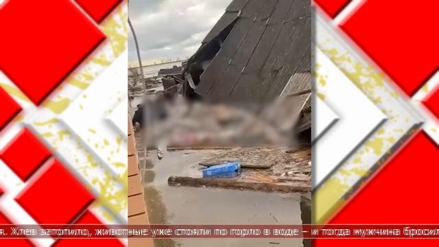 24.04.2026 Мировые новости