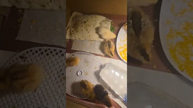 biznes Uzbekistan  в прямом эфире!